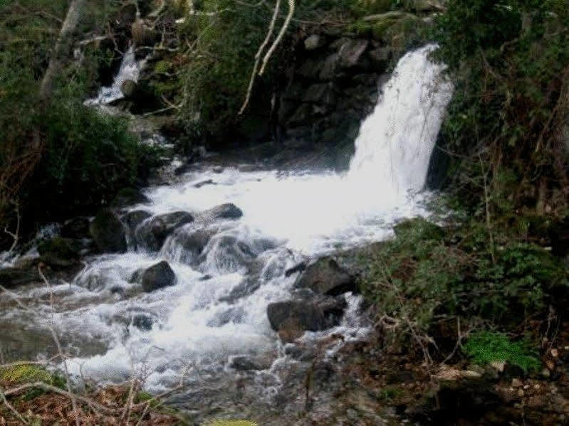 Quinta Do Lagar Da Moira Hotell Vila Franca da Serra Exteriör bild