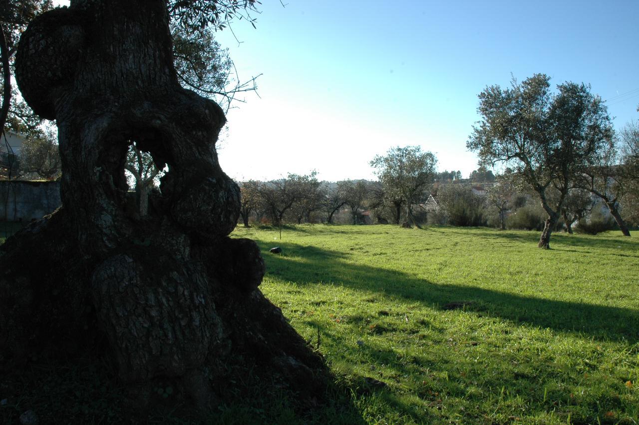 Quinta Do Lagar Da Moira Hotell Vila Franca da Serra Exteriör bild
